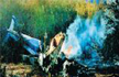 Chopper collision kills French sports stars